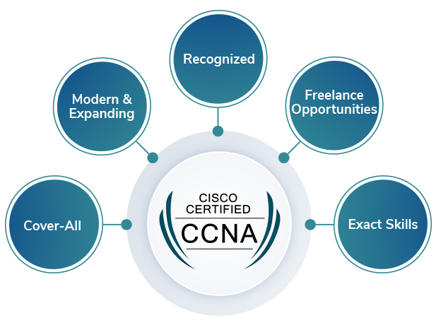 Career Paths After Passing CCNA